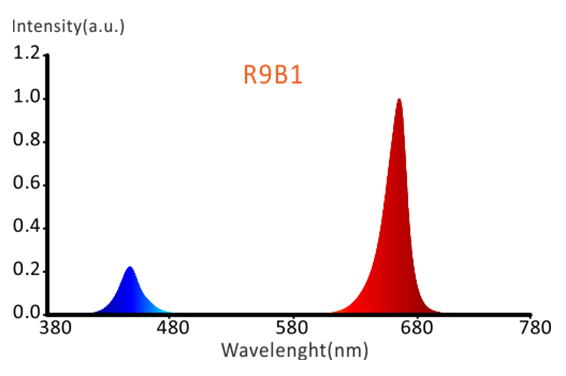 Spektrum RB